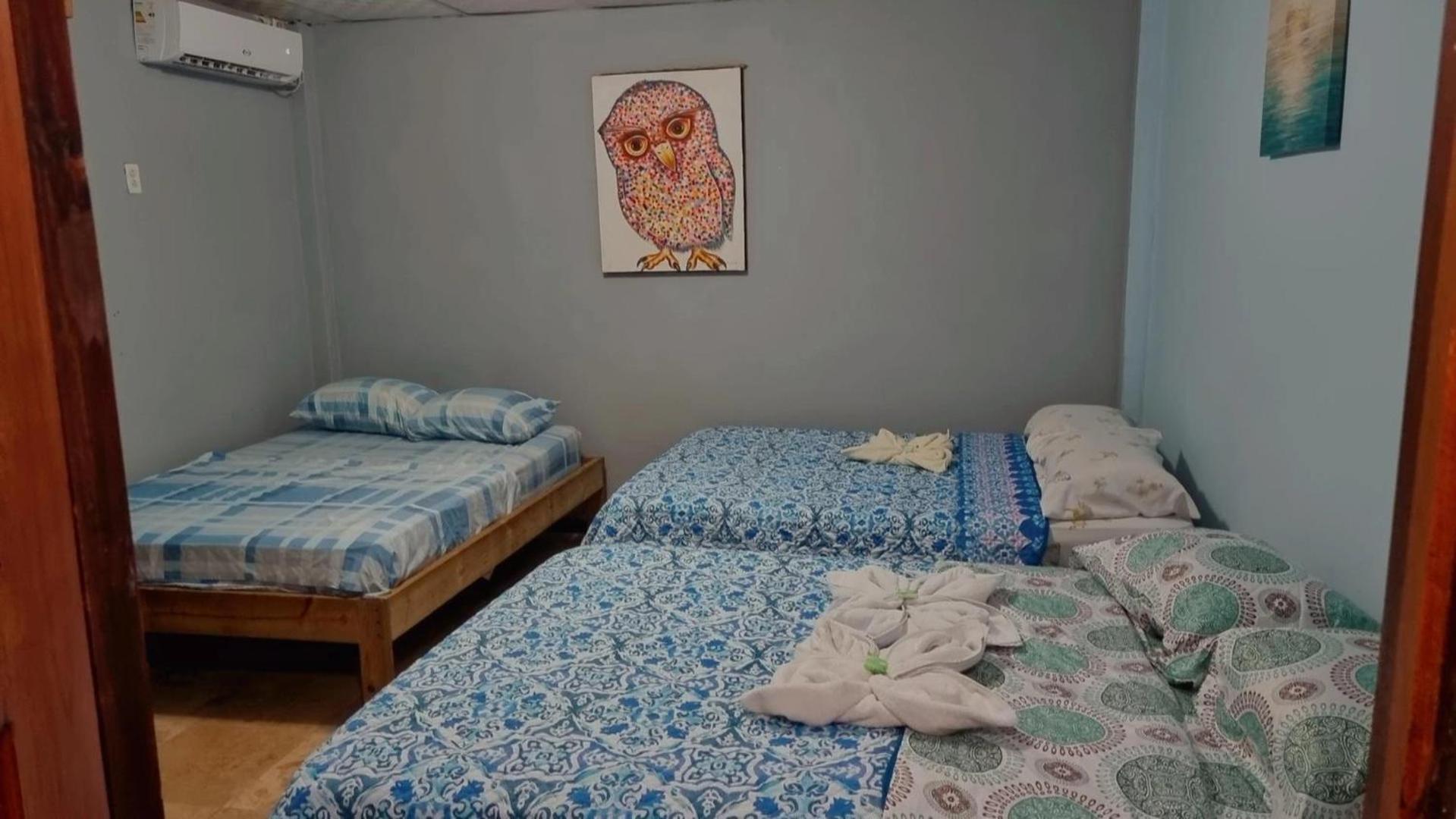Twin Fin Plaza Hostal